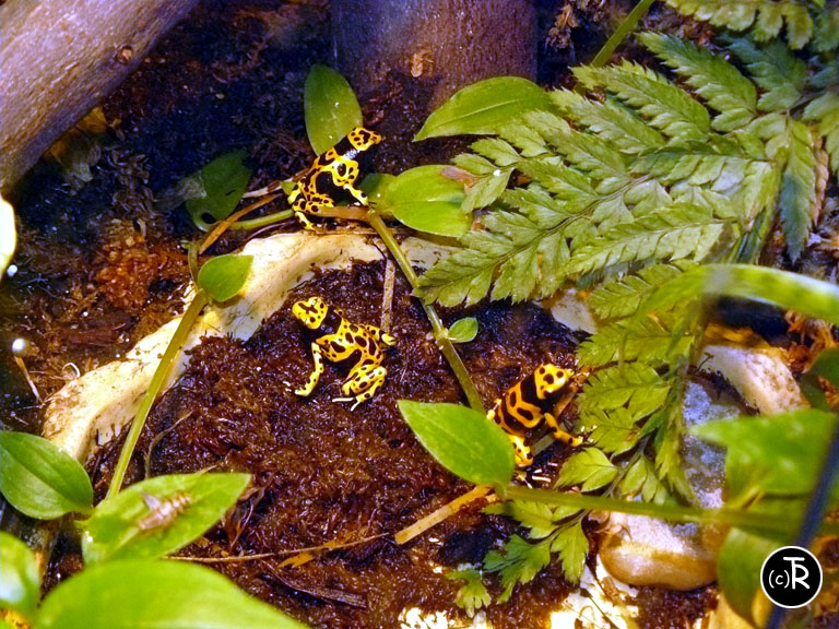 P1040561 copie.jpg